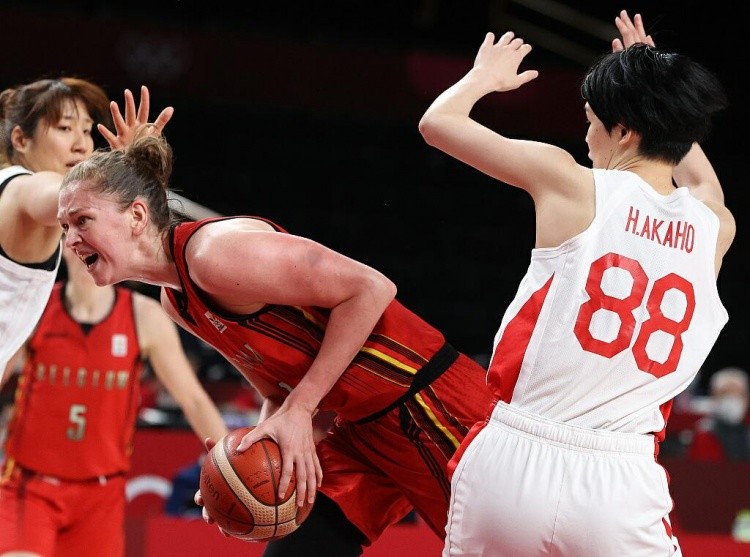 西海岸官方：俱乐部将在11月16日举办球迷开放日（西海岸官宣：11月16日举行球迷开放日活动）