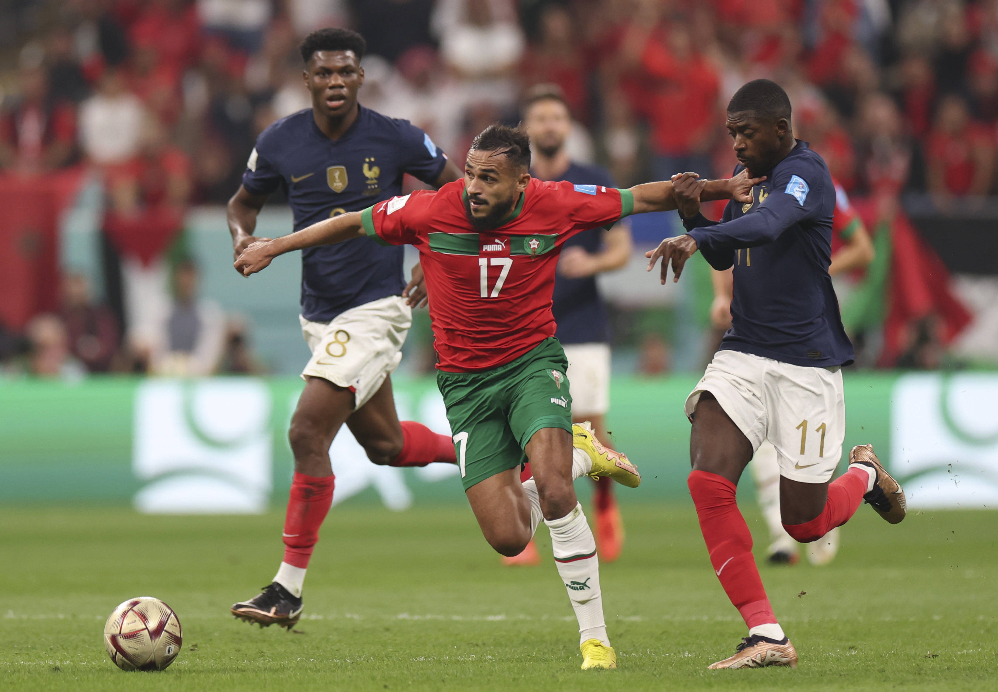 术调整与心 术调整与心