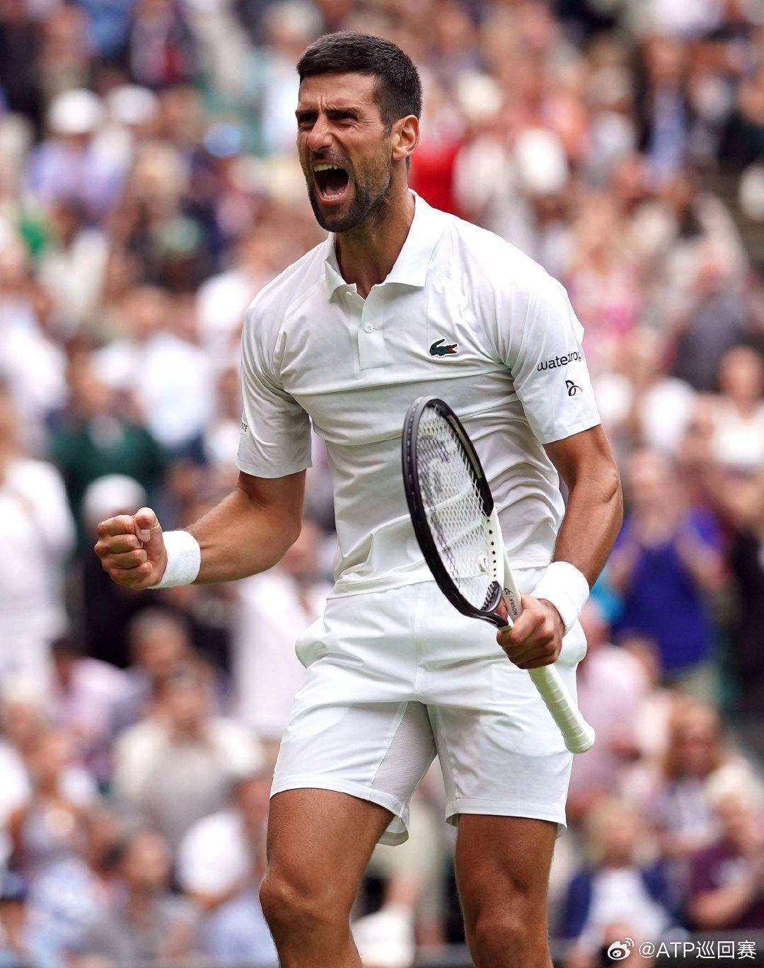 团队配合 团队配合